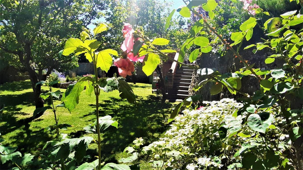 Casa Di Leo With Pool Holiday home Radicondoli